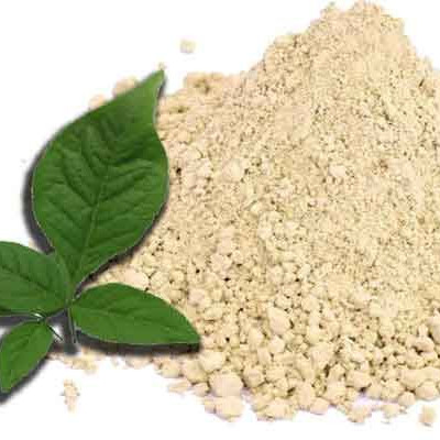 BILVA LEAF POWDER