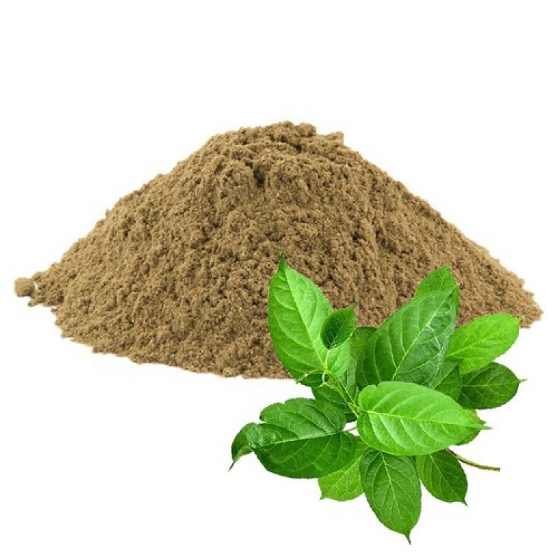 GYMNEMA SYLVESTRE OR SIRUKURINJAN POWDER