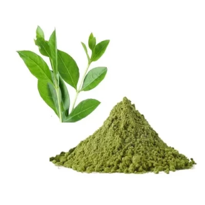 HENNA POWDER