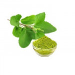 HOLY BASIL OR TULSI POWER