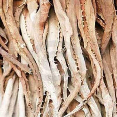 Kathalai Dry Leaf ( Alo Vera Dry )