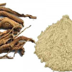 Mukkarattai Powder