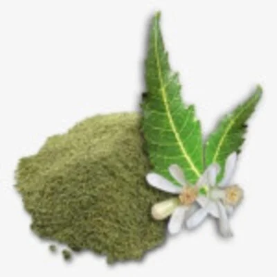 NEEM FLOWER POWDER