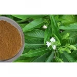 ADA THODA LEAF POWDER