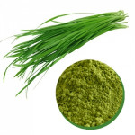 CHIVES POWDER