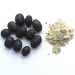 KAPIKACHU OR MUCUNA PRURIENS SEED POWDER