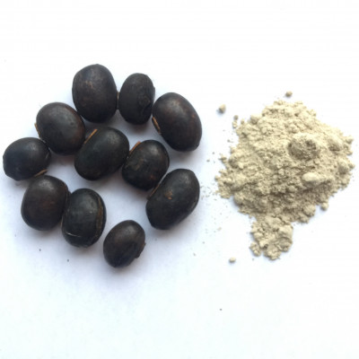 Mucuna Pruriens Seed Powder