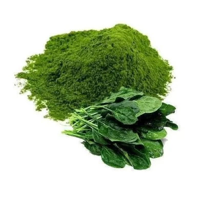 Palak Spinach Leaf Powder